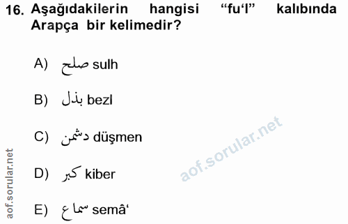 16. soru: Aşağıdakilerin hangisi "fu'l" kalıbında Arapça bir kelimedir? A) Ehe sulh B) Ji bezl C) js düşmen D) N kiber E) ¿Le"…