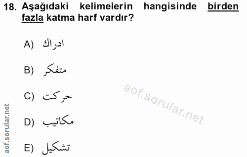 18. soru: Aşağıdaki kelimelerin hangisinde birden fazla katma harf vardır? B) Sãis C) č5 ,- D) çilts E) Jurin