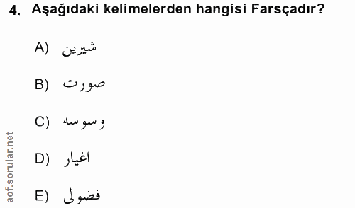 4. soru: Aşağıdaki kelimelerden hangisi Farsçadır? شيرين (A B) ∞sgo C) dugug D) siil E) Lgiss