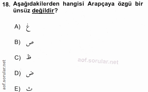18. soru: Aşağıdakilerden hangisi Arapçaya özgü bir ünsüz değildir? A) E B) v c) b D) j
