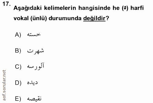 17. soru: Aşağıdaki kelimelerin hangisinde he (e) harfi vokal (ünlü) durumunda değildir? A) dimi B) • fi الورسه (C نقيصه (E