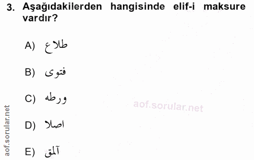 3. soru: Aşağıdakilerden hangisinde elif-i maksure vardır? A) Elb فتوى (B () ab , g D) Sol آلمق (E