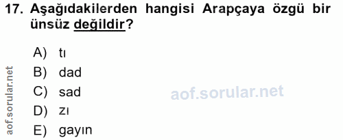 17. soru: Aşağıdakilerden hangisi Arapçaya özgü bir ünsüz değildir? A) tı B) dad C) sad D) ZI E) gayın