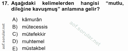 17. soru: Aşağıdaki kelimelerden hangisi "mutlu, dileğine kavuşmuş" anlamına gelir? A) kâmurân B) mütecessis C) mütefekkir D) m…