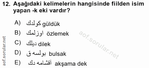 12. soru: Aşağıdaki kelimelerin hangisinde fiilden isim yapan -k eki vardır? A) Su es güldük B) Elal jel özlemek C) Sly dilek r…