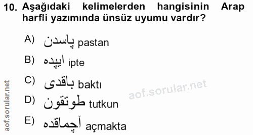 10. soru: Aşağıdaki kelimelerden hangisinin Arap harfli yazımında ünsüz uyumu vardır? A) ÜsuL! pastan B) oJ ipte SiiL baktı D)…