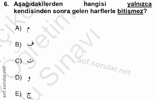 6. soru: Aşağıdakilerden hangisi yalnızca kendisinden sonra gelen harflerle bitişmez? A) B) j C) Sina D) E) E