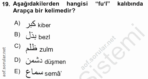 19. soru: Aşağıdakilerden hangisi "fu'" kalıbında Arapça bir kelimedir? A) JS kiber B) Jị bezl c) alts zulm D) jaü düşmen E) ¿L…