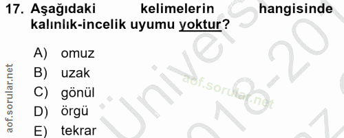 17. soru: Aşağıdaki kelimelerin hangisinde kalınlık-incelik uyumu yoktur? A) omuz B) uzak aolisorlarn C) gönül D) örgü E) tekrar