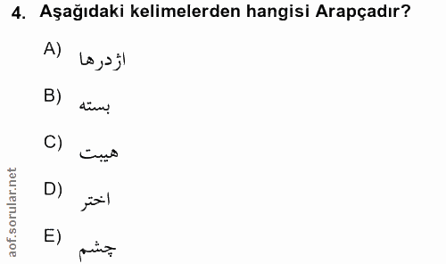 4. soru: Aşağıdaki kelimelerden hangisi Arapçadır? A) Lo , s jl B) C) D) E)