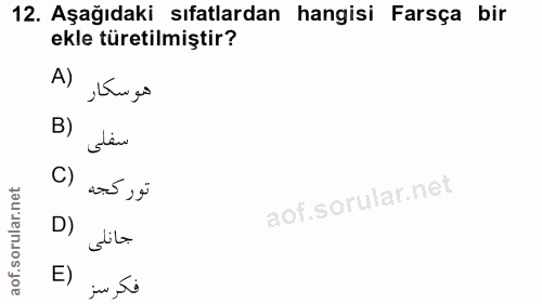 12. soru: Aşağıdaki sıfatlardan hangisi Farsça bir ekle türetilmiştir? A) هو سكار B) سفلى C) تور كجه D) sile E) jo , si