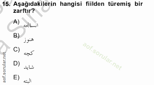 15. soru: Aşağıdakilerin hangisi fiilden türemiş bir zarftır? A) انسائحه B) هنوز C) كجه D) E) البته