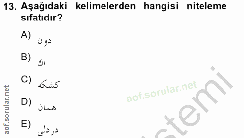 13. soru: Aşağıdaki kelimelerden hangisi niteleme sıfatıdır? A) دون B) اك C) كشكه D) همان temi E) دردلى