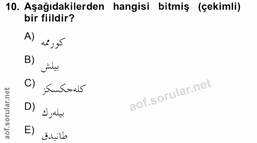 10. soru: Aşağıdakilerden hangisi bitmiş (çekimli) bir fiildir? A) كورممه B) بيلش C) كله جكسكز D) بيله رك E) طانيدق
