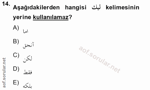 14. soru: Aşağıdakilerden hangisi sl kelimesinin yerine kullanılamaz? A) Lal B) C) D) bü E)
