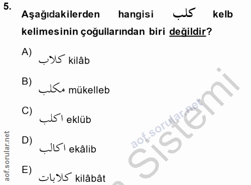 5. soru: Aşağıdakilerden hangisi u5 kelb kelimesinin çoğullarından biri değildir? A) U35 kilâb B) Lo mükelleb C) Abi eklüb Sis…