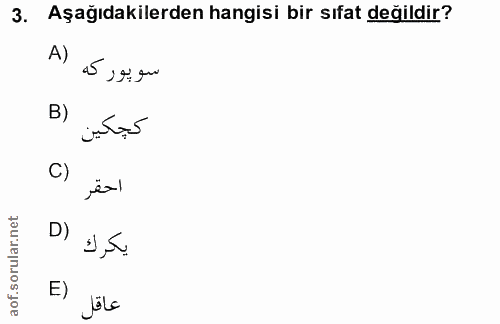 3. soru: Aşağıdakilerden hangisi bir sıfat değildir? A) سوپوركه B) كجكين C) احقر D) يكرك E) عاقل