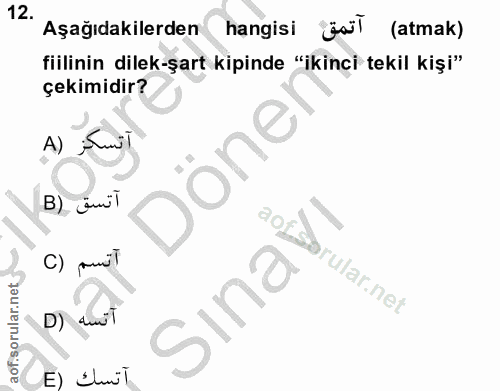 12. soru: hangisi jü} (atmak) Aşağıdakilerden fillinin dilek-şart kipinde "ikinci tekil kişi" çekimidir? A) Döne B) ¿mil C) Sın…