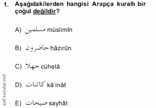 1. soru: Aşağıdakilerden hangisi Arapça kurallı bir çoğul değildir? A) jakus müslimîn B) Ugrs hâzırân C) Se cühelâ D) üljb kâ'…