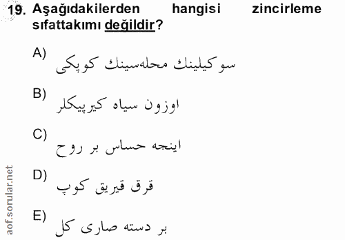 19. soru: Aşağıdakilerden hangisi zincirleme sıfattakımı değildir? A) سوكيلينك محله سينك كوپكى B) اوزون سياه كيرپيكلر C) اينجه…