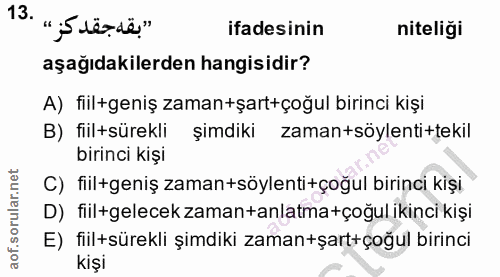 13. soru: " „S'tér-ië." ifadesinin niteliği aşağıdakilerden hangisidir? A) fill+geniş zaman+şart+çoğul birinci kişi B) fiilsüre…
