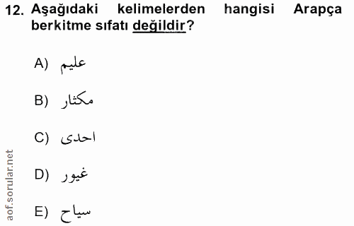 12. soru: Aşağıdaki kelimelerden hangisi Arapça berkitme sıfatı değildir? A) pulo B) ,lis. C) Sb) D) ›gic E) Elau