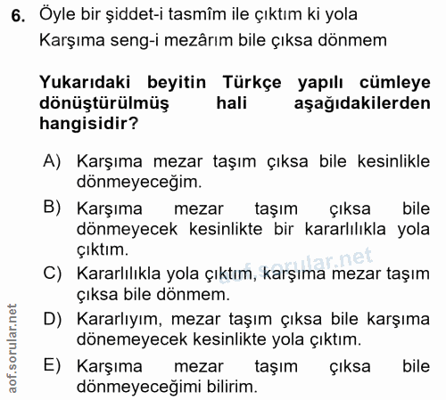 6. soru: Oyle bir şiddet-i tasmîm ile çıktım ki yola Karşıma seng-i mezârım bile çıksa dönmem Yukarıdaki beyitin Türkçe yapılı…