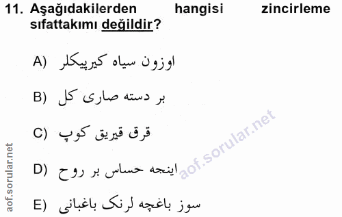 11. soru: Aşağıdakilerden hangisi zincirleme sıfattakımı değildir? اوزون سياه كيرييكلر (A B) J5 s,lo diva ei D) E9 t wik dagot.…