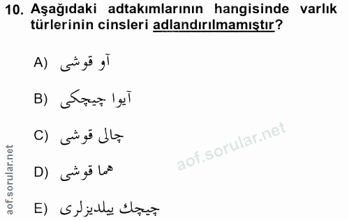 10. soru: Aşağıdaki adtakımlarının hangisinde varlık türlerinin cinsleri adlandırılmamıştır? آو قوشى (A آيوا جيجكى (B حالى قوشى…