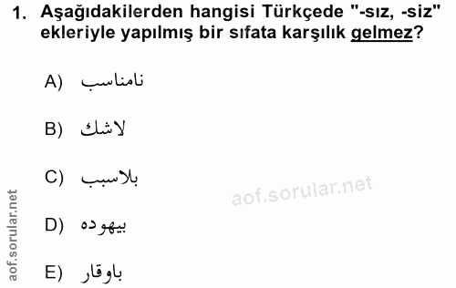 1. soru: Aşağıdakilerden hangisi Türkçede "-sız, -siz" ekleriyle yapılmış bir sıfata karşılık gelmez? نامناسب (A B) Iliy بلاسب…