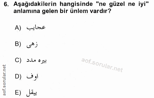 6. soru: Aşağıdakilerin hangisinde "ne güzel ne iyi" anlamına gelen bir ünlem vardır? A) ulas B) sºj بيره مدد () D) gl E) Jen