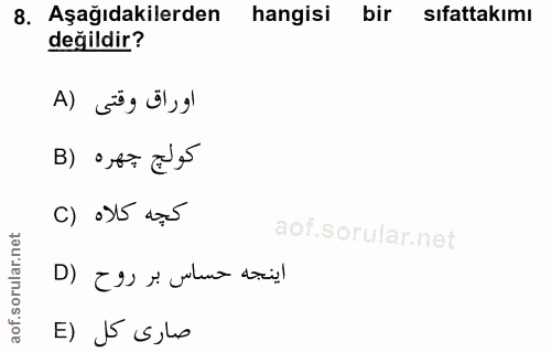 8. soru: Aşağıdakilerden hangisi bir sıfattakimı değildir? اوراق وقتى (A كولج جهره (B C) 055 dç5 اينجه حساس بر روح (D E) J5 s,lo