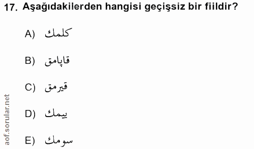 17. soru: Aşağıdakilerden hangisi geçişsiz bir fiildir? A) dla5 قاپامق (B قير مق (C D) Elau E) Šlogu