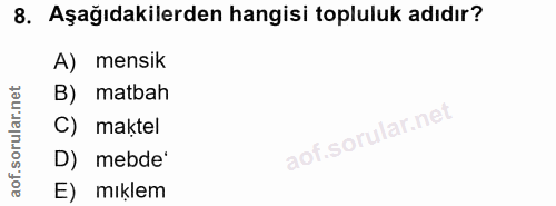 8. soru: Aşağıdakilerden hangisi topluluk adıdır? A) mensik B) matbah C) maktel D) mebde' E) mıklem