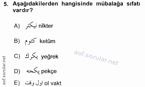 5. soru: Aşağıdakilerden hangisinde mübalağa sıfatı vardır? A) ji nikter B) ¿ gi ketûm C) I,&. yeğrek D) do pekçe E)cëgUyl ol…