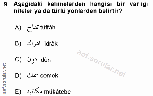 9. soru: Aşağıdaki kelimelerden hangisi bir varlığı niteler ya da türlü yönlerden belirtir? A) ¿ Lë tüffâh B) JI,l idrâk C) Üg…