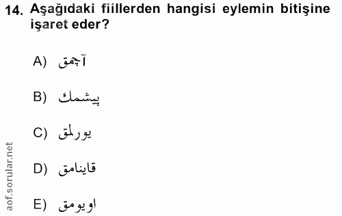 14. soru: Aşağıdaki fiillerden hangisi eylemin bitişine işaret eder? A) Fl B) Elaine يورلمق (C قاينامق (D او يومق (E