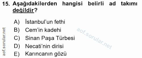 15. soru: Aşağıdakilerden hangisi belirli ad takimı değildir? A) İstanbul'un fethi B) Cem'in kadehi C) Sinan Paşa Türbesi D) Ne…