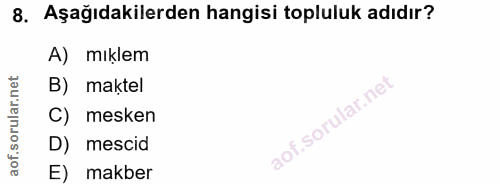 8. soru: Aşağıdakilerden hangisi topluluk adıdır? A) mıklem B) maktel C) mesken D) mescid E) makber