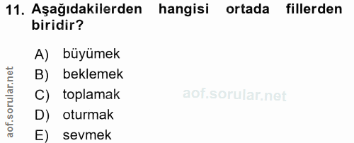 11. soru: Aşağıdakilerden hangisi ortada fillerden biridir? A) büyümek B) beklemek rular. C) toplamak D) oturmak aof. E) sevmek