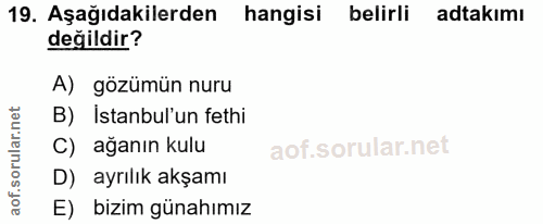 19. soru: Aşağıdakilerden hangisi belirli adakimı değildir? A) gözümün nuru B) Istanbul'un fethi C) ağanın kulu D) ayrılık akşa…
