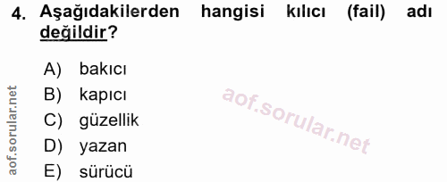 4. soru: Aşağıdakilerden hangisi kılıcı (fail) adi değildir? A) bakıcı B) kapıcı C) güzellik D) yazan E) sürücü