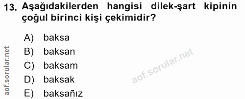 13. soru: Aşağıdakilerden hangisi dilek-şart kipinin çoğul birinci kişi çekimidir? A) baksa B) baksan C) baksam D) baksak E) ba…