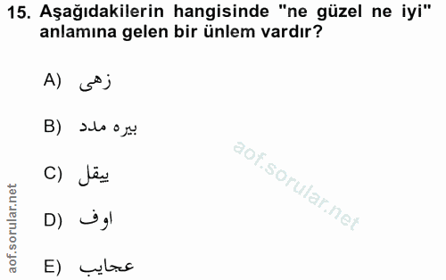 15. soru: Aşağıdakilerin hangisinde "ne güzel ne iyi" anlamına gelen bir ünlem vardır? A) sj B) slo ox C) Jêu اوف (D عجايب (E