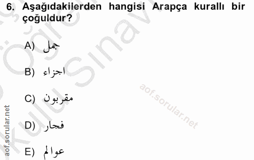 6. soru: Aşağıdakilerden hangisi Arapça kurallı bir çoğuldur? A) Lo B) {\al () Üg jës فجار (D E) -les