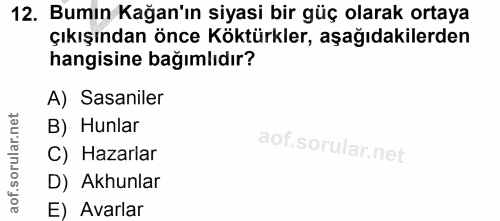 12. soru: Bumın Kağan'ın siyasi bir güç olarak ortaya çıkışından önce Köktürkler, aşağıdakilerden hangisine bağımlıdır? A) Sasa…