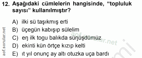 12. soru: Aşağıdaki cümlelerin hangisinde, "topluluk sayısı" kullanılmıştır? A) ilki sü taşıkmış erti B) üçegün kabışıp sülelim…