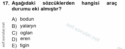 17. soru: Aşağıdaki sözcüklerden hangisi araç durumu eki almıştır? A) bodun B) yalanın C) oglan D) eren E) tigin
