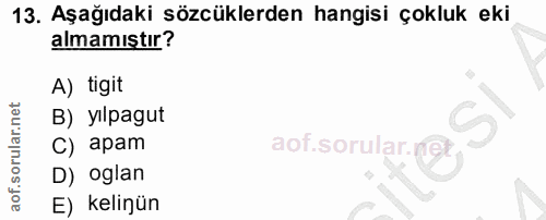 13. soru: Aşağıdaki sözcüklerden hangisi çokluk eki almamıştır? A) tigit B) yılpagut C) apam D) oglan E) kelinün