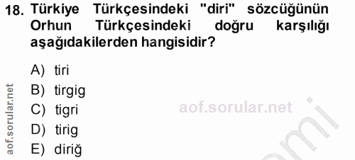 18. soru: Türkiye Türkçesindeki "diri" sözcüğünün Orhun Türkçesindeki dogru karşılığı aşağıdakilerden hangisidir? A) tiri B) ti…